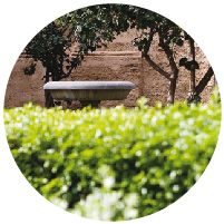 imagen de fuente ornamental número interno 52