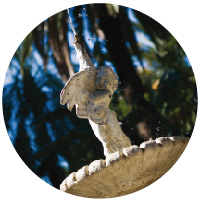 imagen de fuente ornamental número interno 23