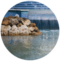 imagen de fuente ornamental número interno 40