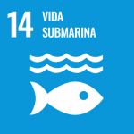 Logo del Objetivo de Desarrollo Sostenible número 14: Conservar y utilizar de forma sostenible los océanos, mares y recursos marinos para lograr el desarrollo sostenible.